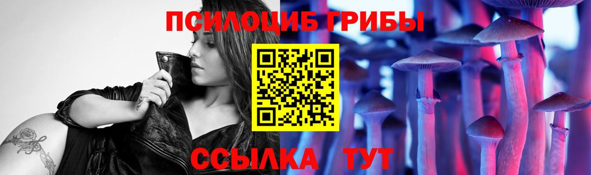 Галлюциногенные грибы GOLDEN TEACHER Надым